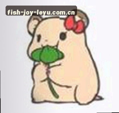 赵敏